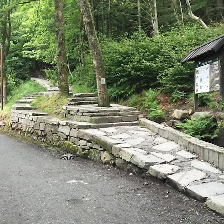 In Modern Complex Near Old Apartman *