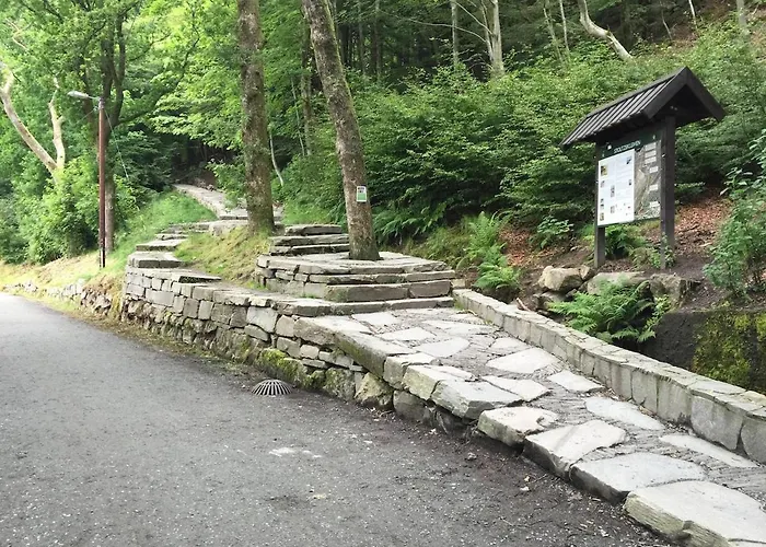 In Modern Complex Near Old Apartment *